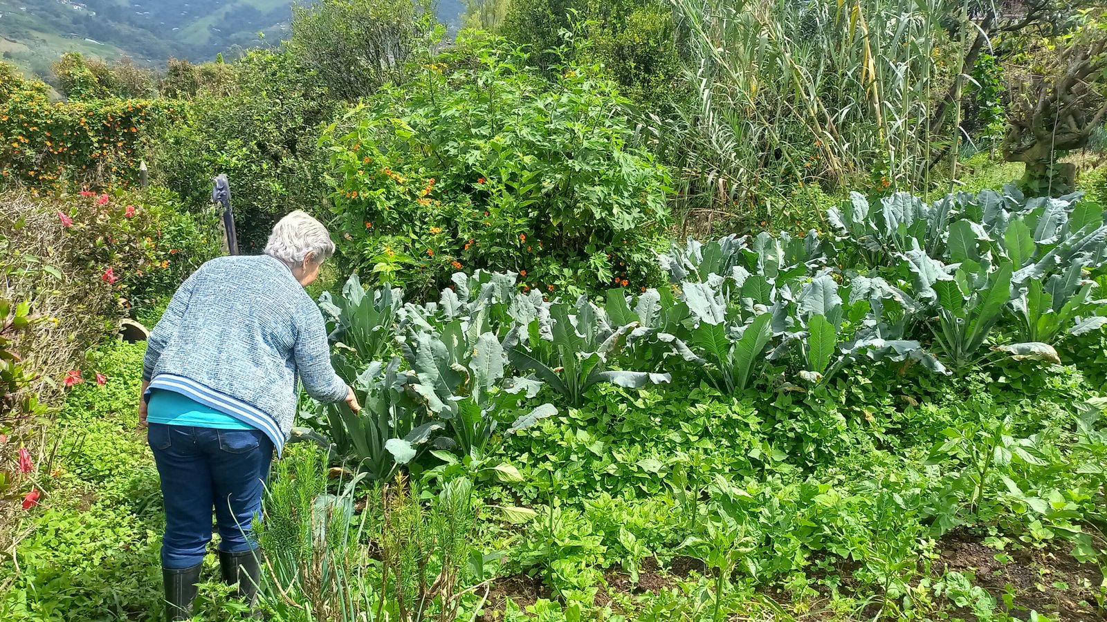 Artículo: Agroecología, resistencia y cuidado en Colombia