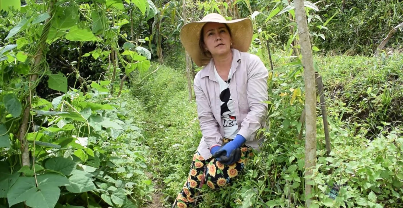 Agroecología: cultivar con la naturaleza para una vida saludable
